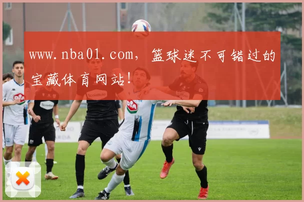 www.nba01.com，篮球迷不可错过的宝藏体育网站！