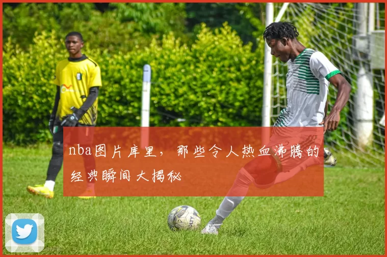 nba图片库里,那些令人热血沸腾的经典瞬间大揭秘