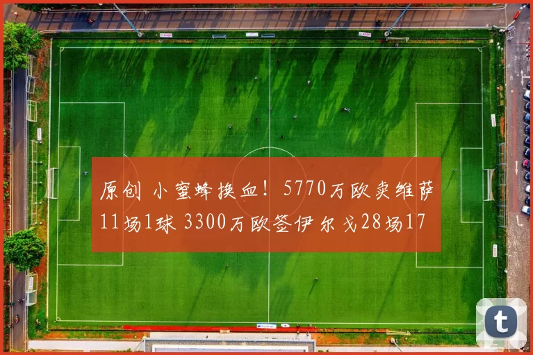 原创 小蜜蜂换血!5770万欧卖维萨11场1球 3300万欧签伊尔戈28场17球